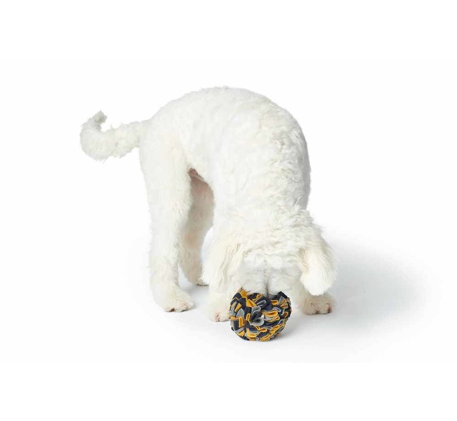 Recycled Dog Toy Eiby