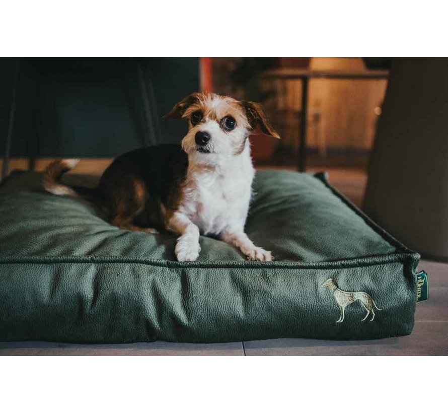 Orthopedic Dog Cushion Merida Green