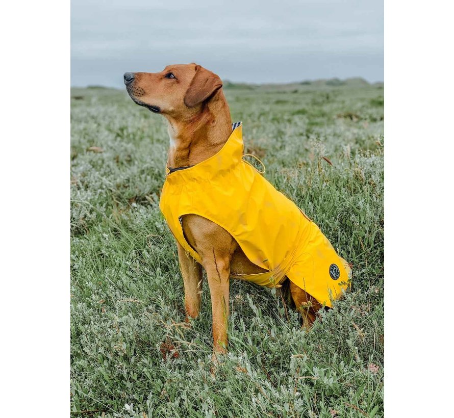 Raincoat Dog Milford Yellow