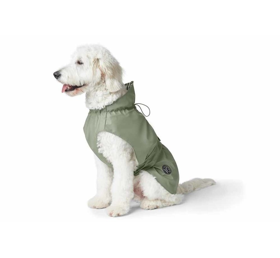 Raincoat Dog Milford Green