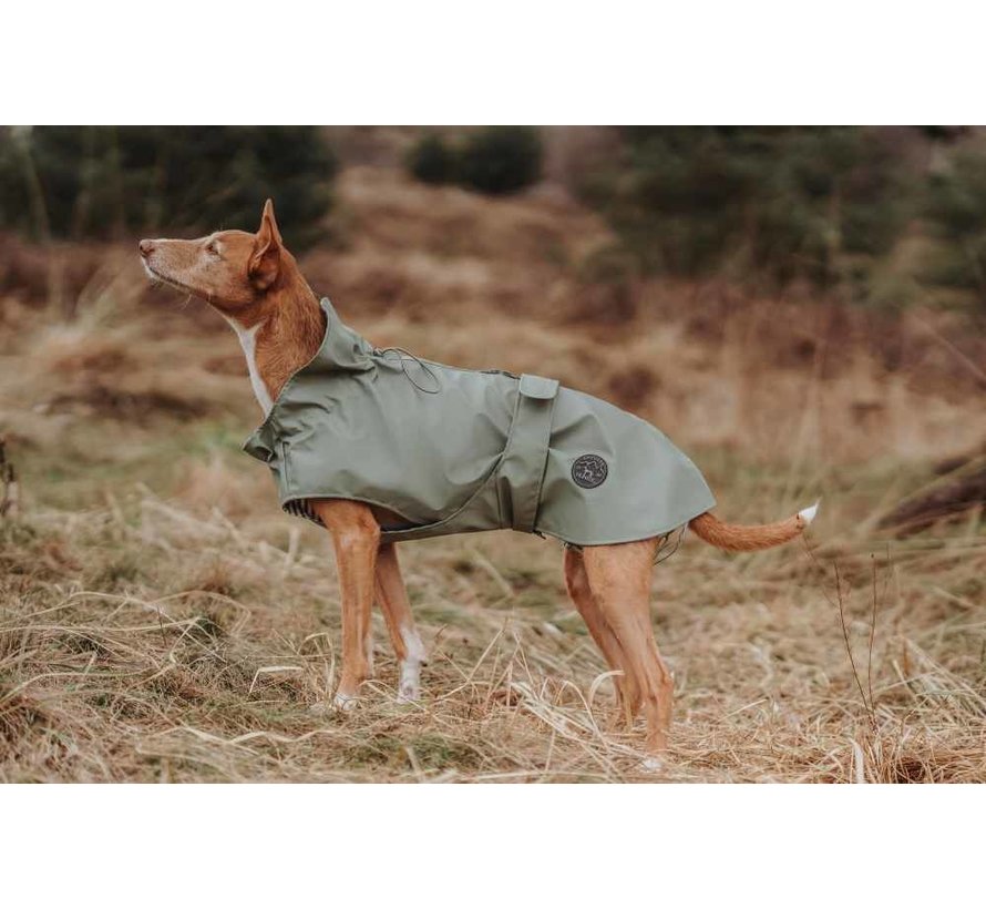 Raincoat Dog Milford Green