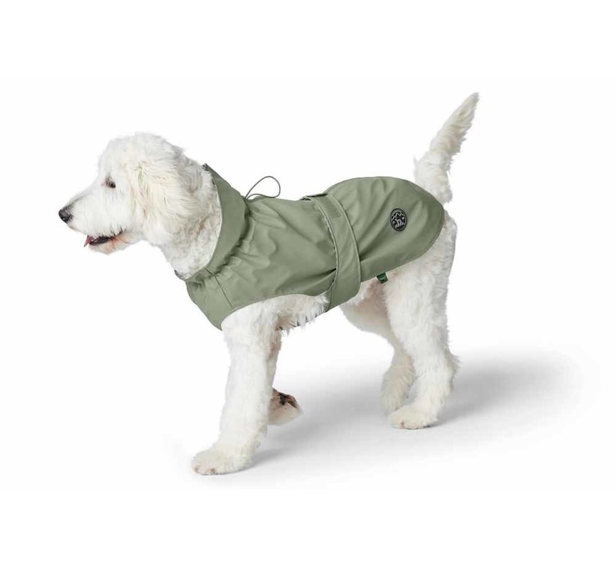 Raincoat Dog Milford Green