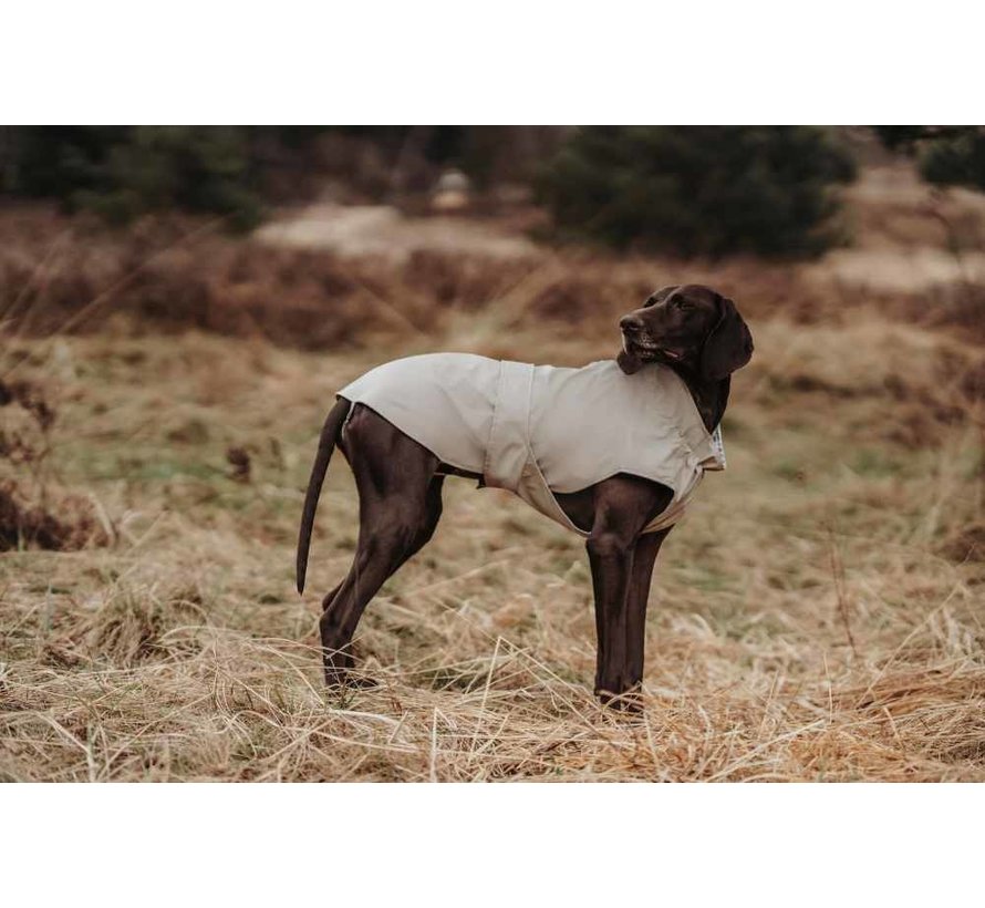 Raincoat Dog Milford Taupe