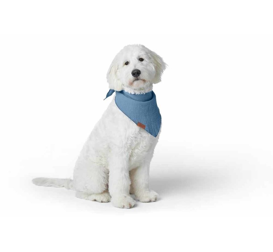 Dog Scarf Nola Bandana Blue