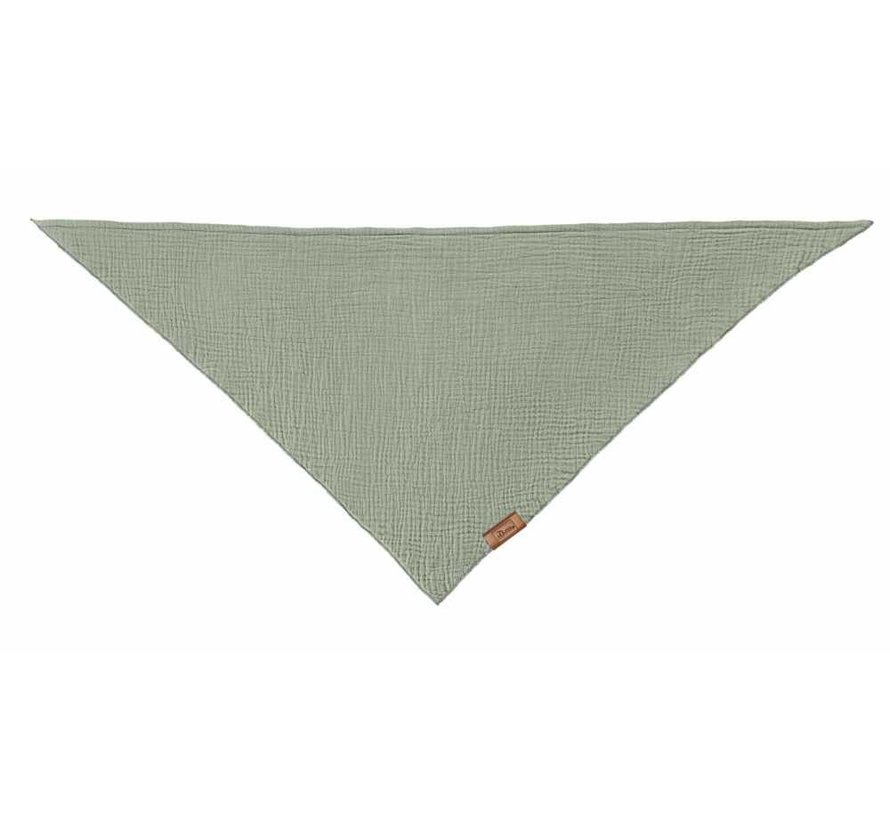 Dog Scarf Nola Bandana Green