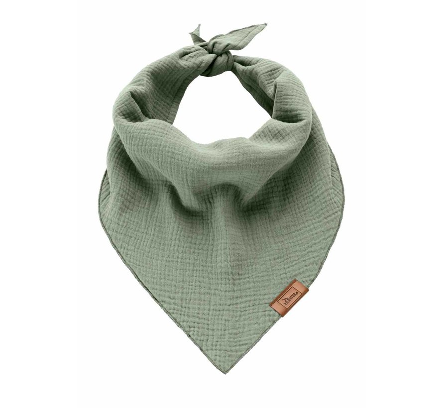 Dog Scarf Nola Bandana Green