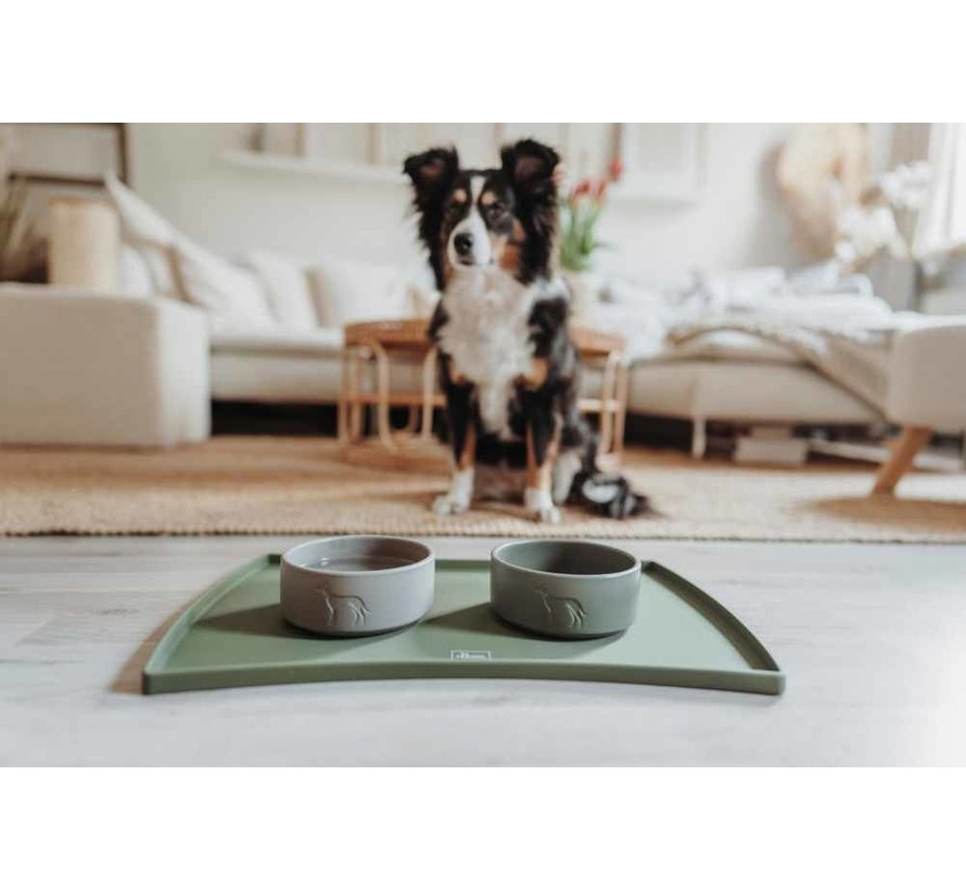 Food Bowl Base Selection Green