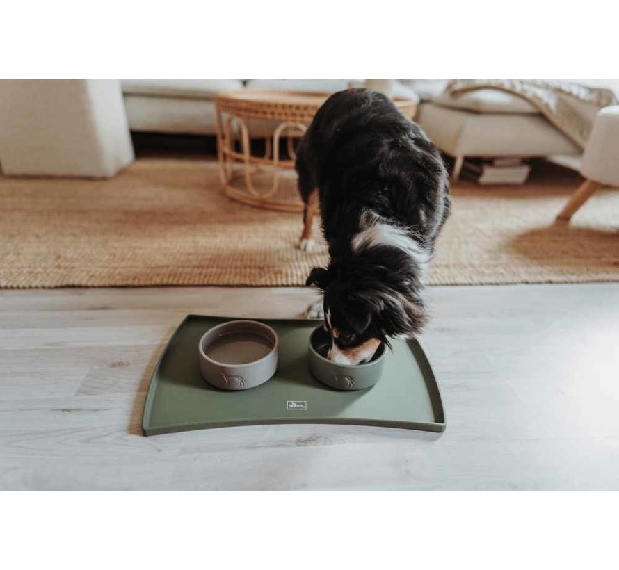 Food Bowl Base Selection Green