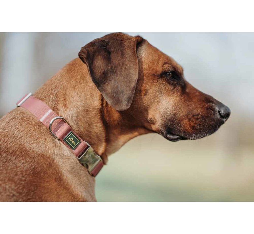 Dog Collar Inari Alu Strong Pastel Red