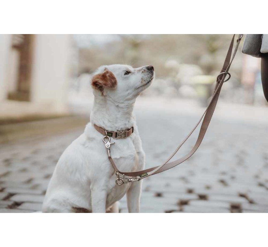 Verstelbare Hondenriem Inari Beige