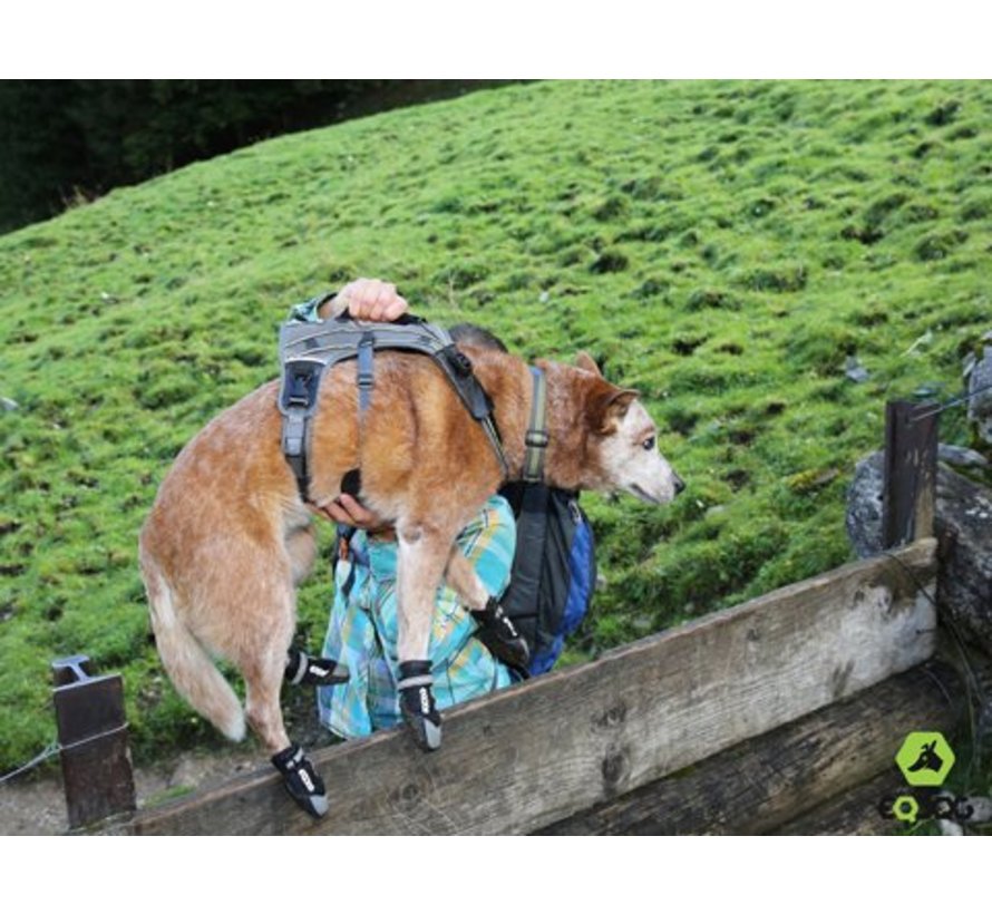 Dog Shoe 4Seasons Grey