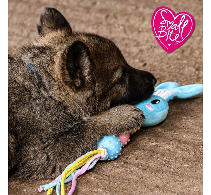 Dog Toy Teether Puppy Set