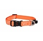 Dog Collar Orange Doodle