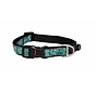Dog Collar Fancy Dress Mint Dog
