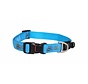 Dog Collar Fancy Dress Turquoise Paws
