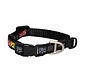 Dog Collar Fancy Dress Multi Bone
