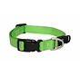 Dog Collar Utility Lime