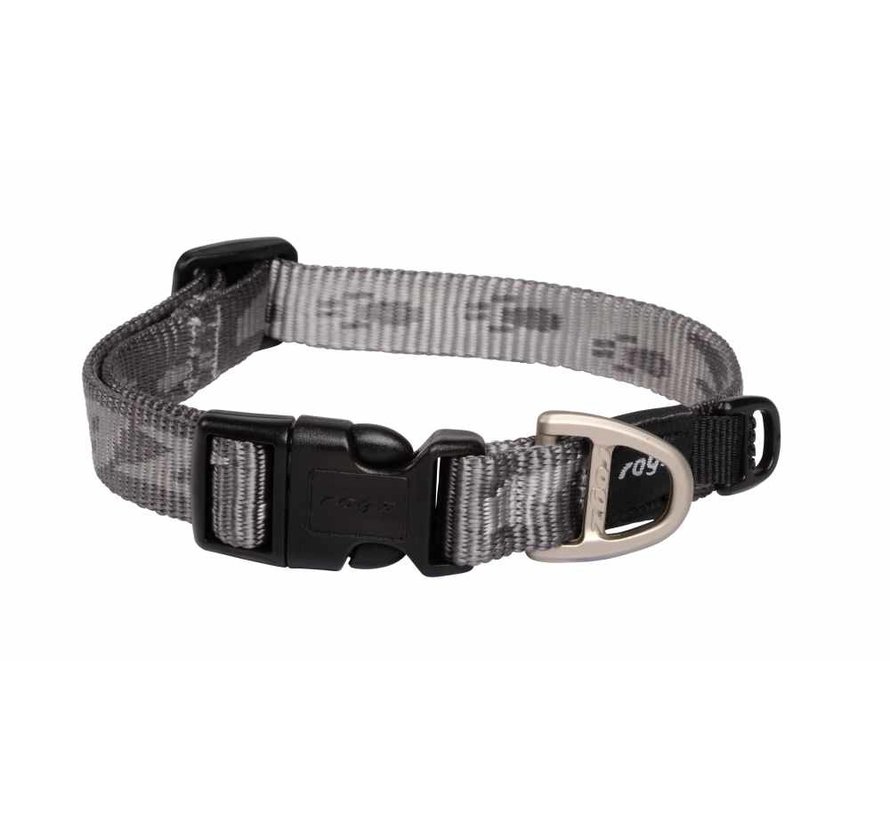 Dog Collar Alpinist Platinum