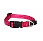 Dog Collar Alpinist Pink