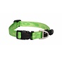 Dog Collar Alpinist Lime