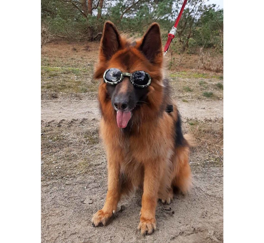 Dog Sunglasses Camouflage