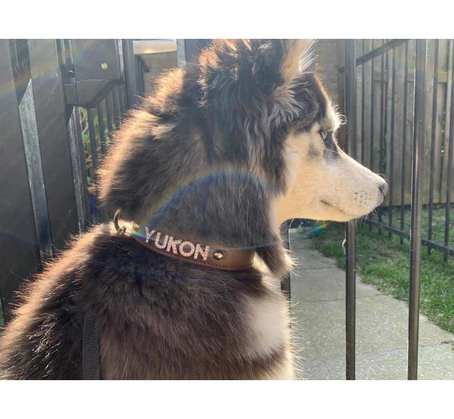 Dog collar with name Large Brown