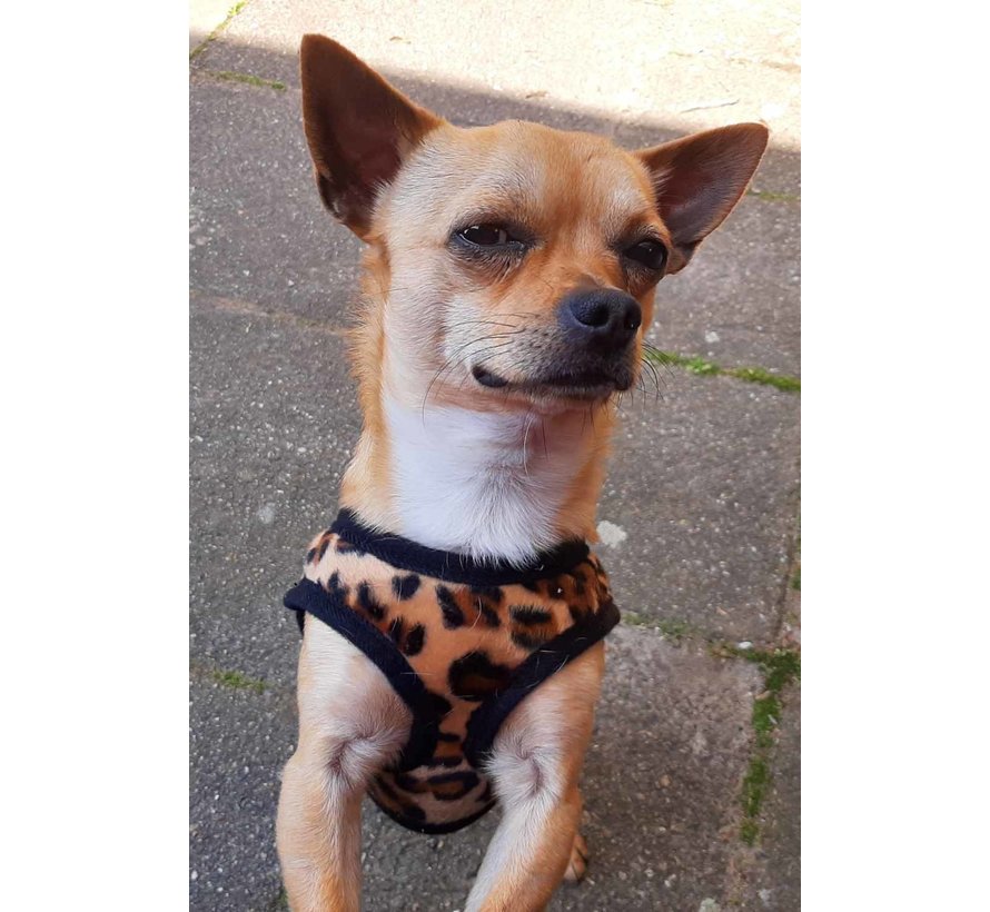 Dog Harness Comfy Harness Leopard brown