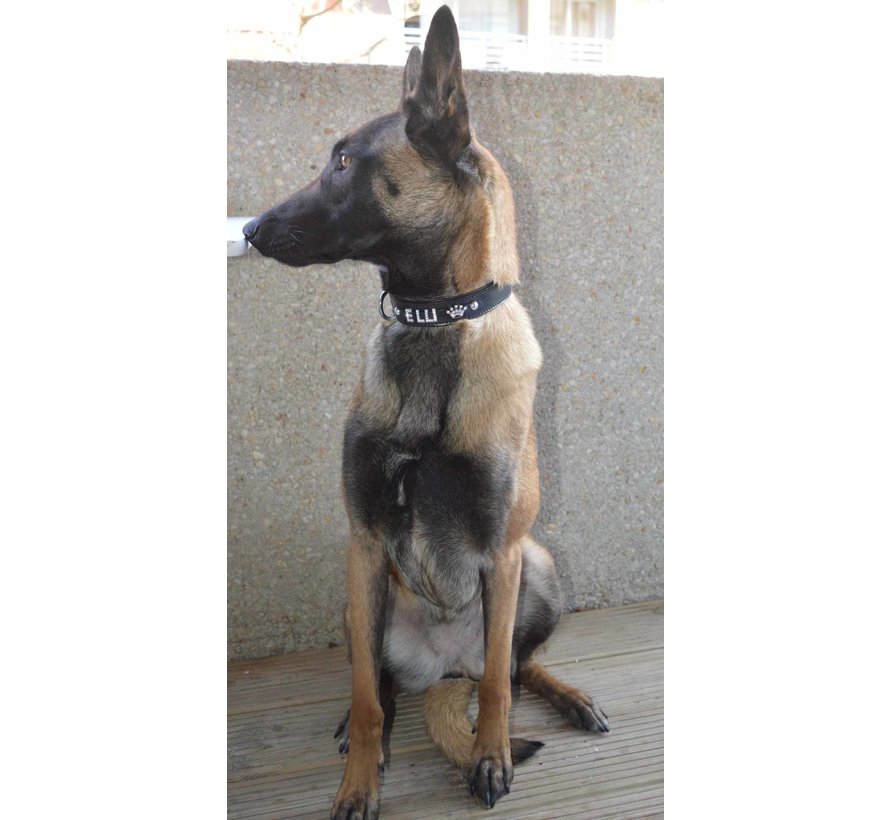 Dog Collar with Name Black (Large)