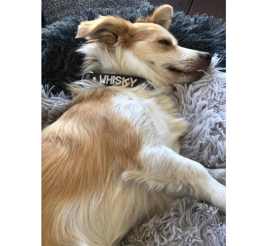 Dog Collar With Name Brown (Medium)