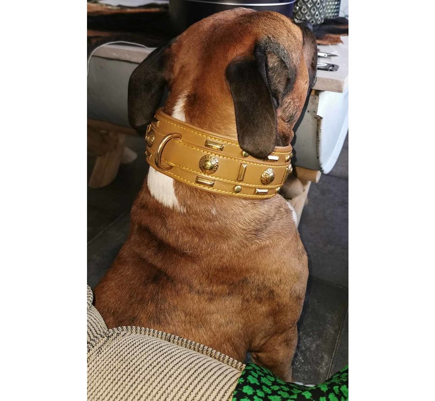 Dog Collar Glorious Tan 60mm