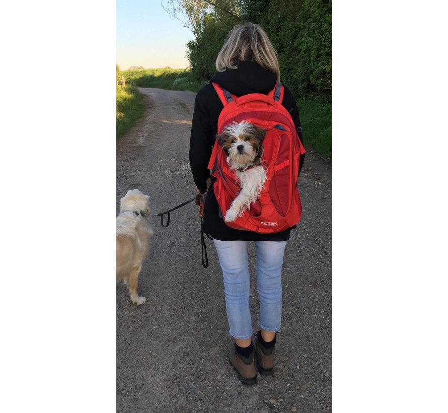 Dog Backpack G-Train Red