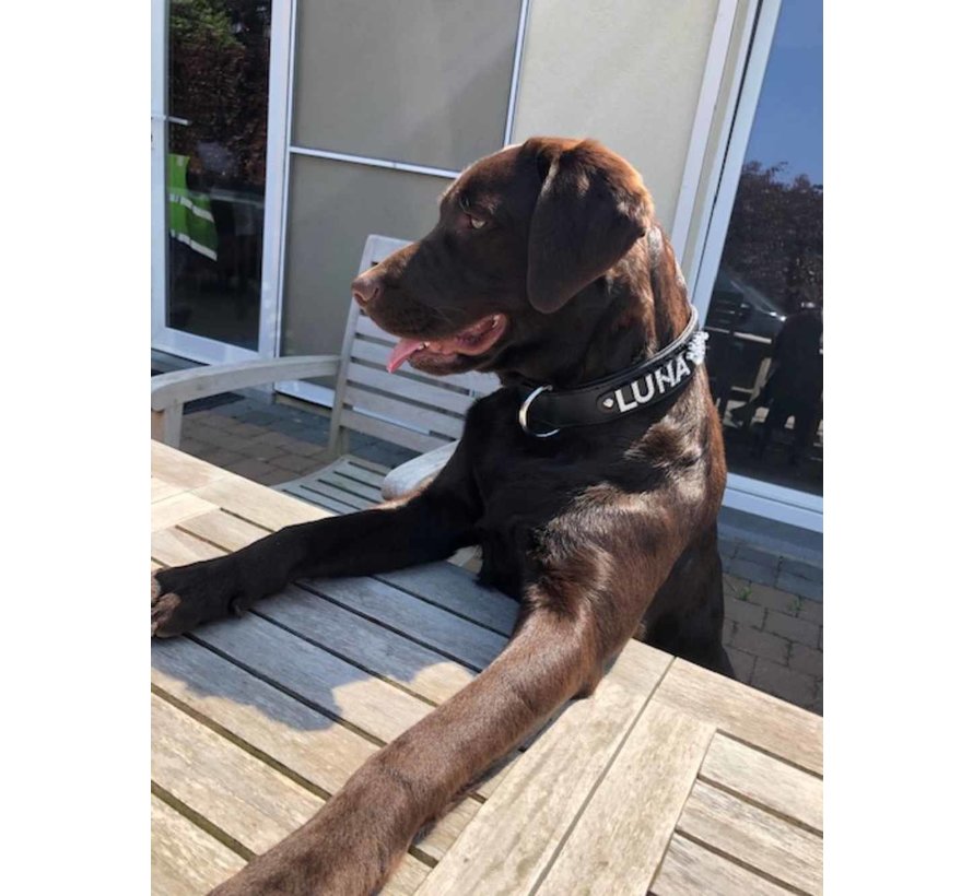 Dog Collar with Name Black (Large)