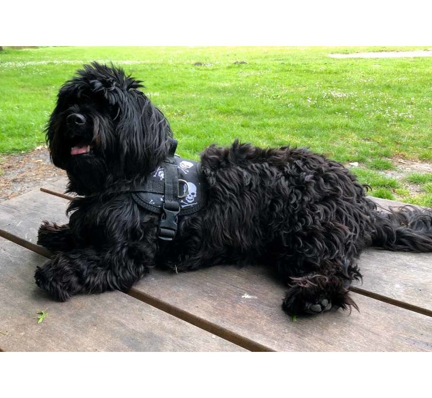 Dog Survival Harness Skull and Bones