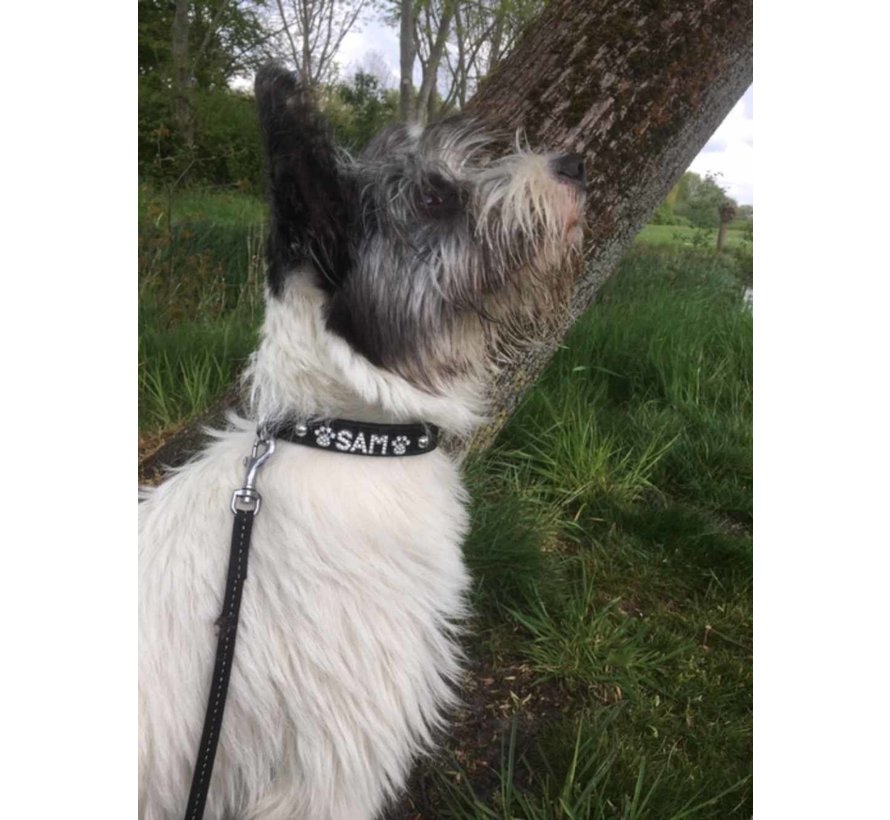 Dog Collar With Name Black (Medium)