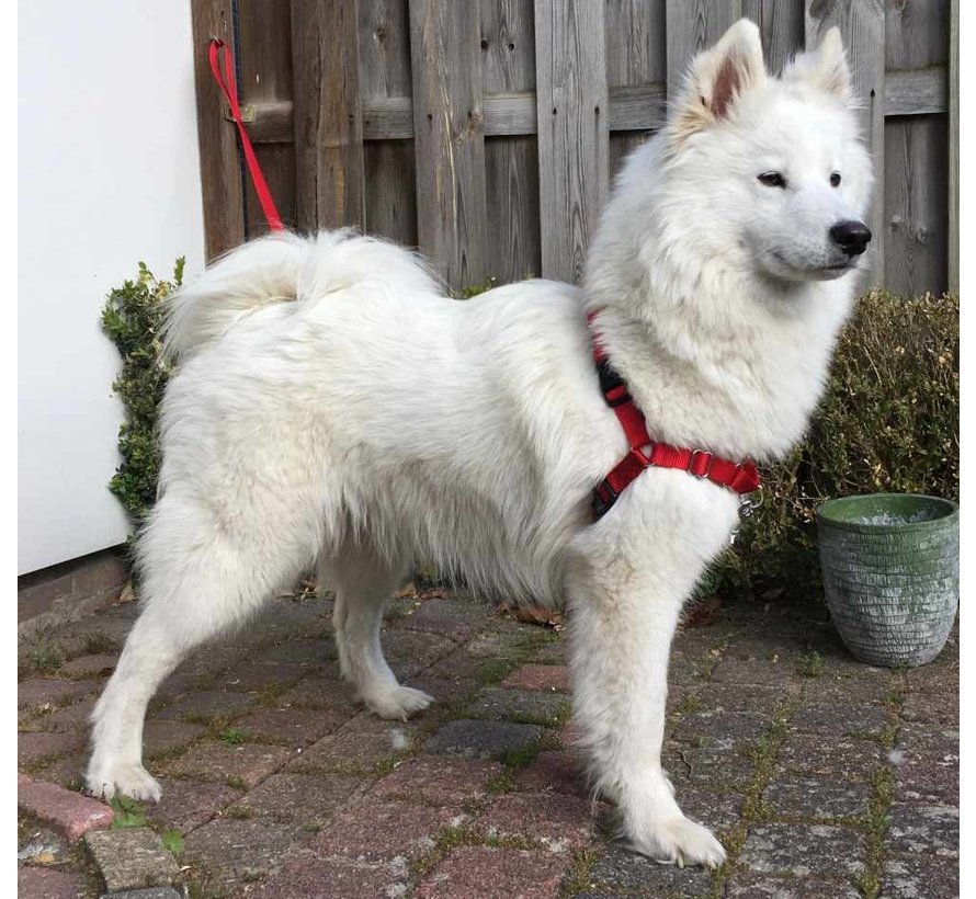 Easy Walk® Hondentuig Rood - Anti-Trek Set inclusief Riem