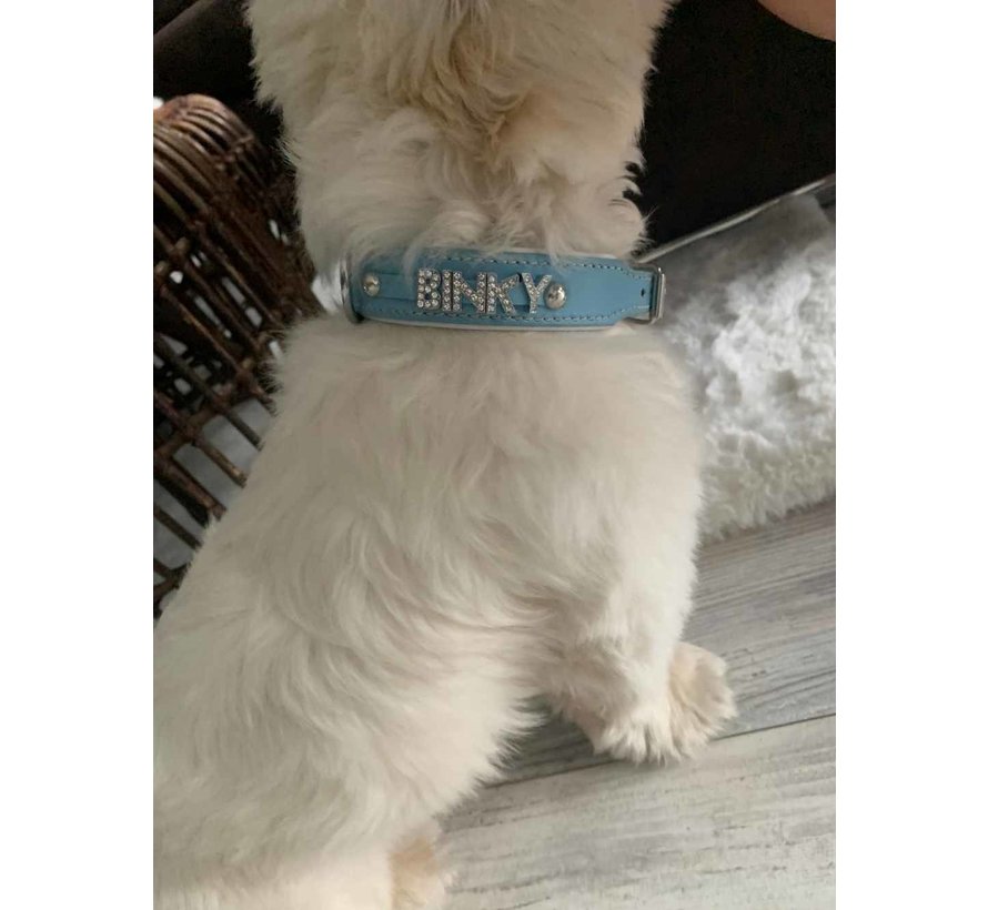 Dog collar with name Medium Babyblue