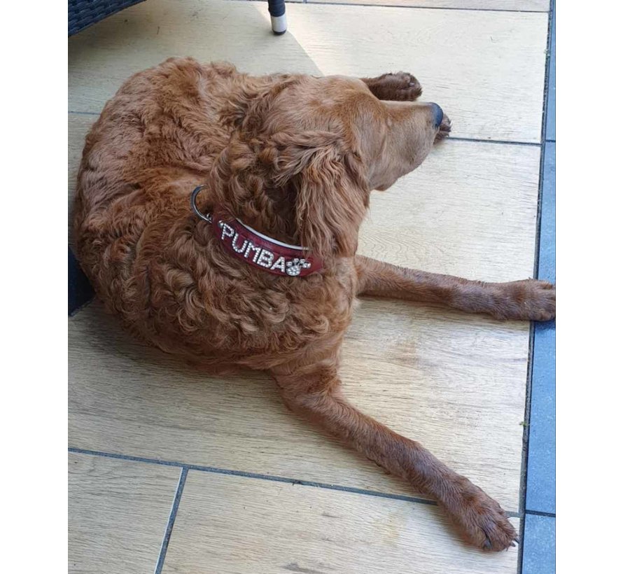 Dog Collar With Name Red (Large)