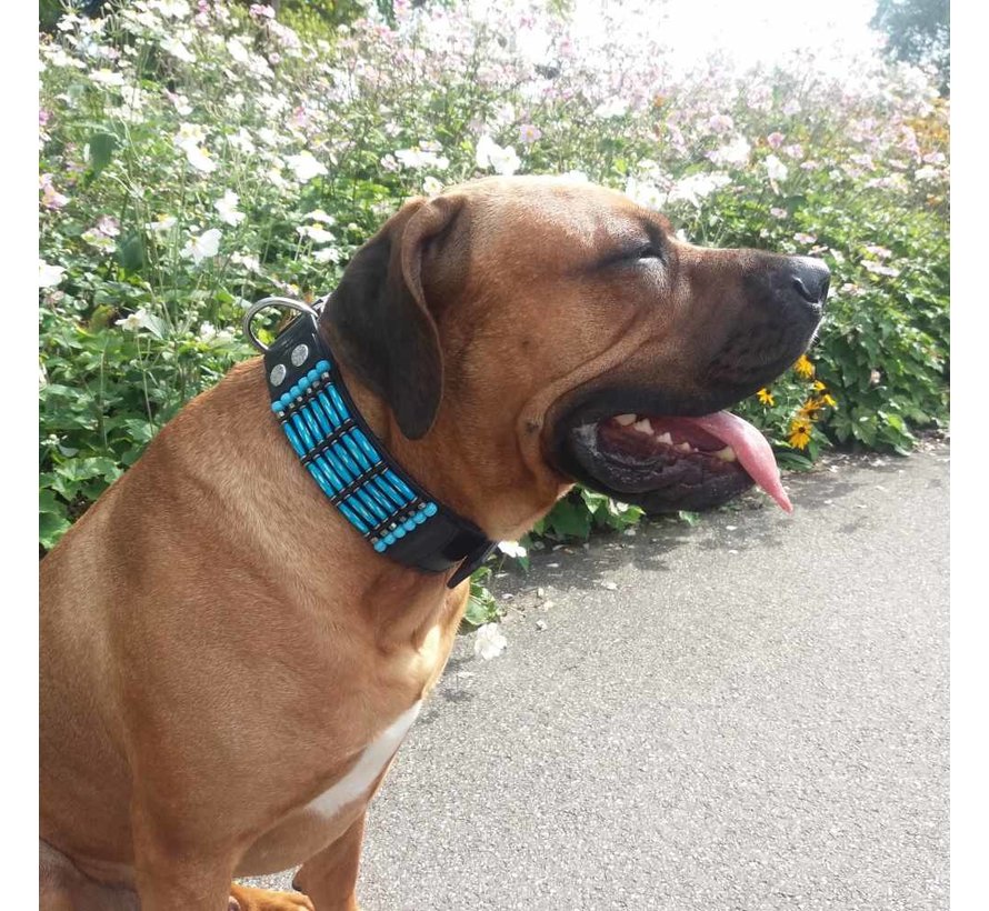 Dog Collar Blue River 50mm