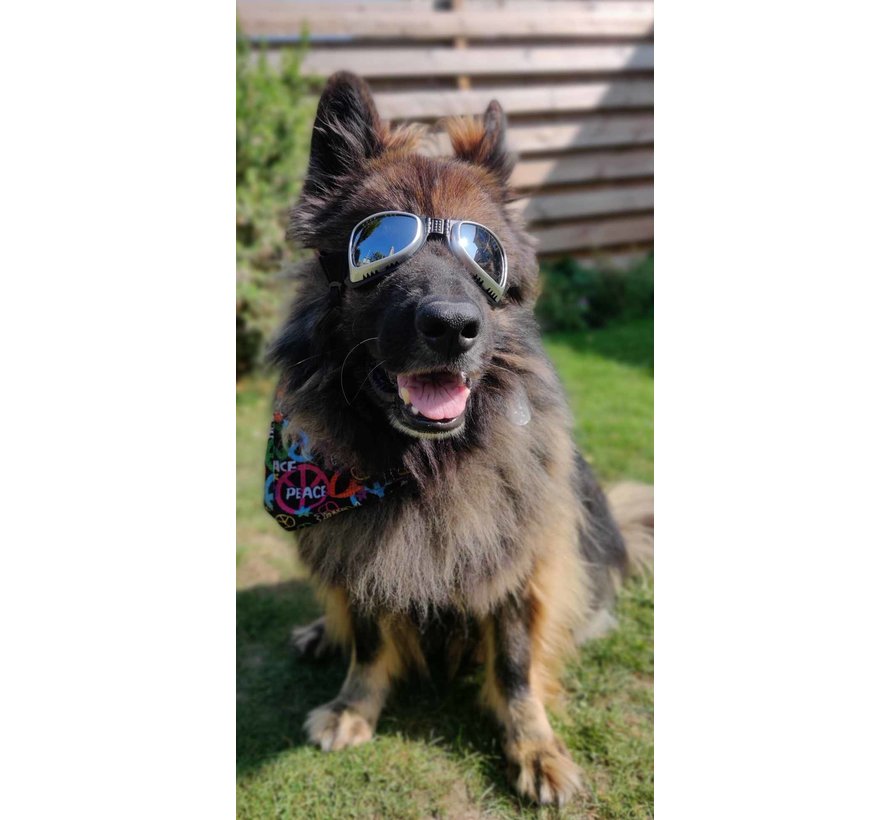 Dog Sunglasses Biker Silver frame/Mirror lens