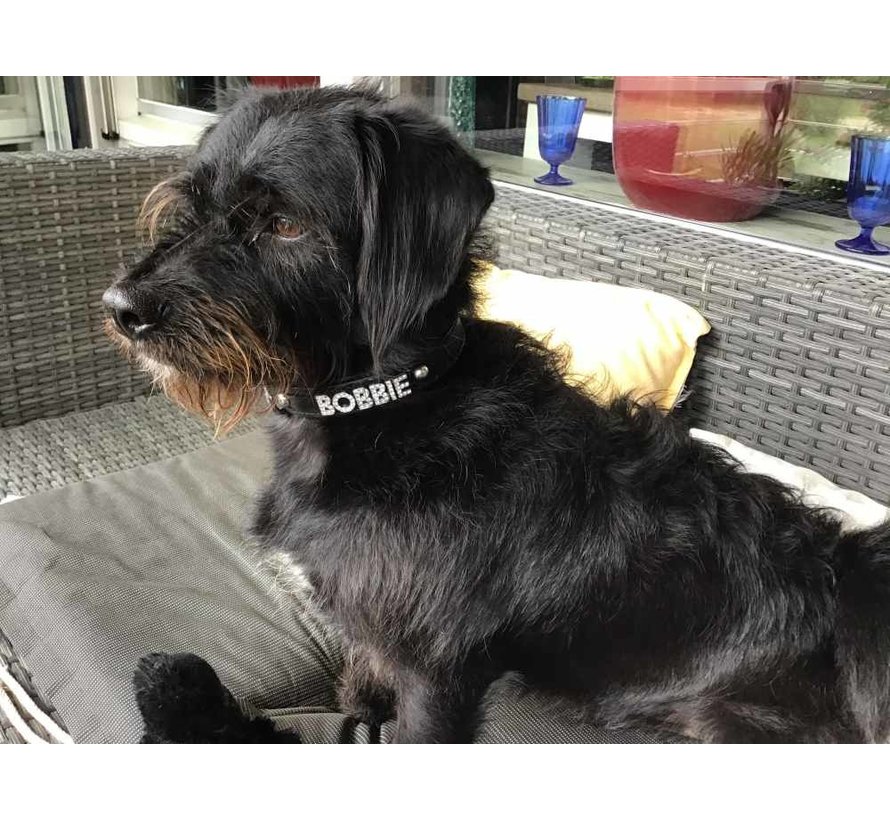 Dog Collar With Name Black (Medium)