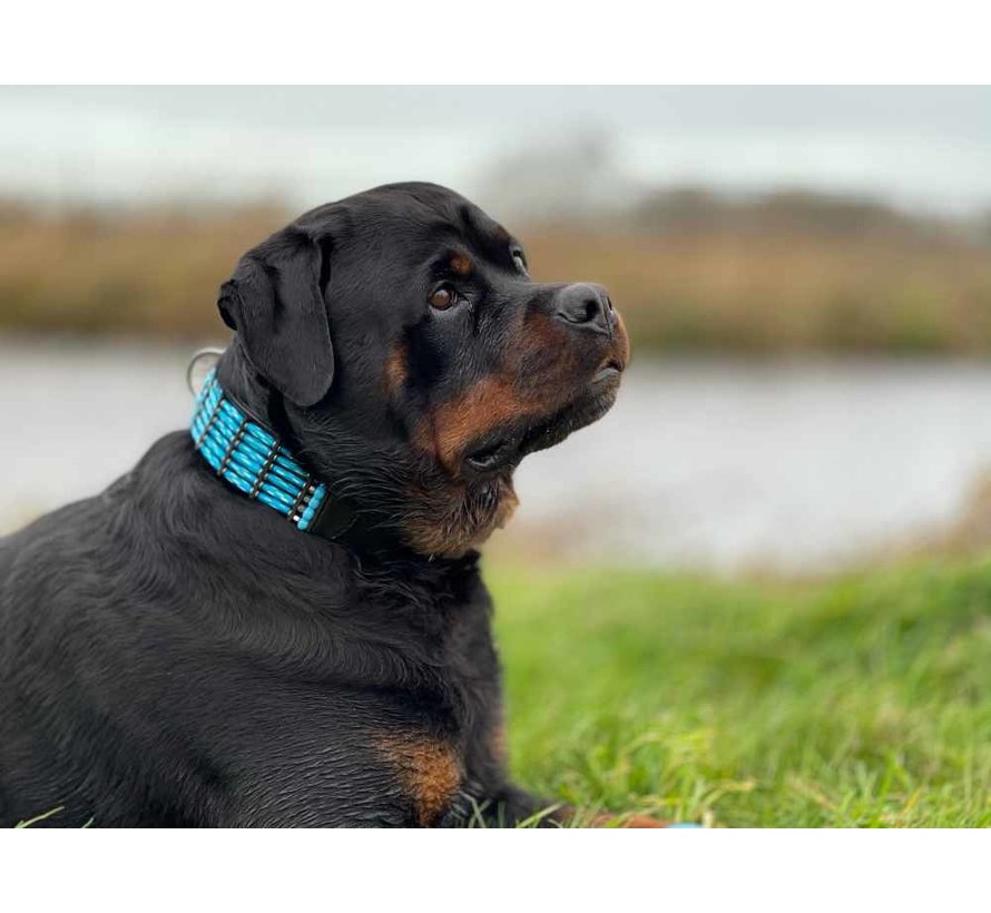 Dog Collar Blue River 50mm