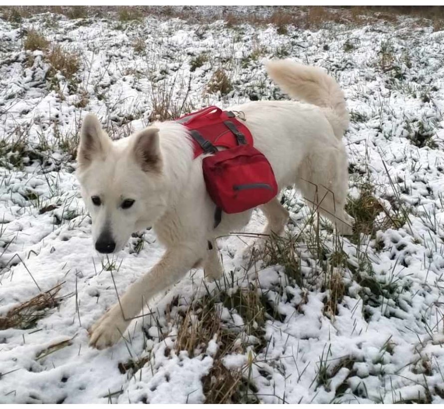 Hondendraagtas Rugzak Baxter Rood