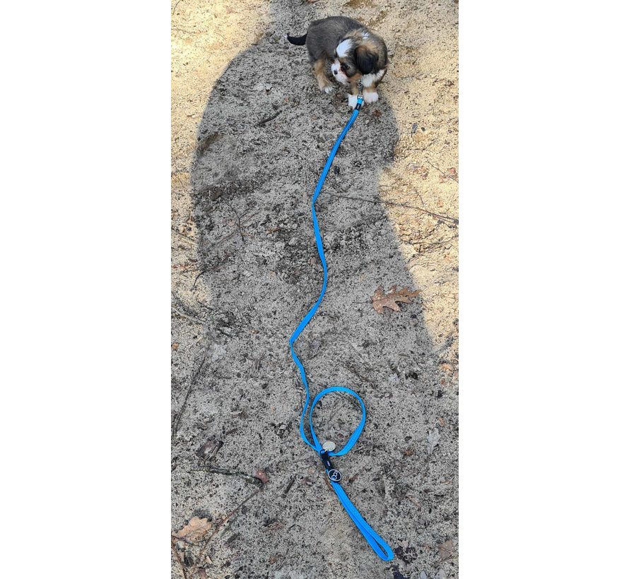 Dog Leash Utility Turquoise