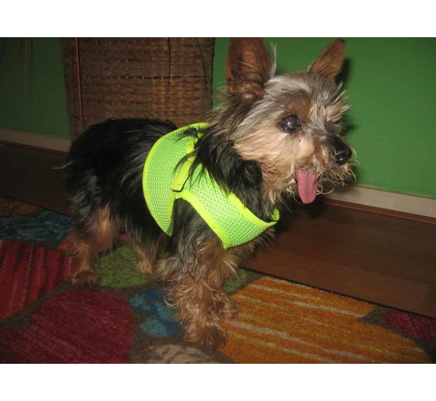 Dog Harness Round Loop Harness Mesh Fluo Green