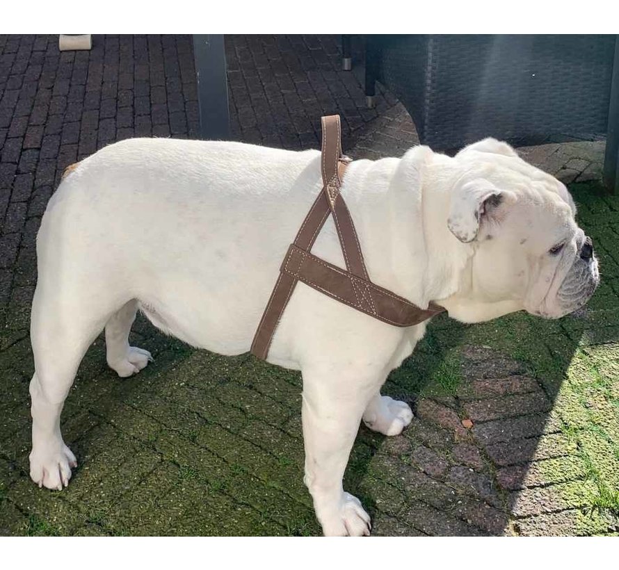 Dog Harness Norwegian Hunting Brown