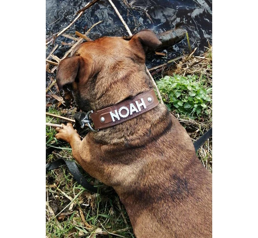 Hondenhalsband Met Naam Bruin (Large)