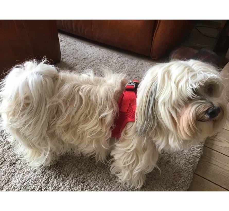 Dog Harness Air-Mesh Harness Red