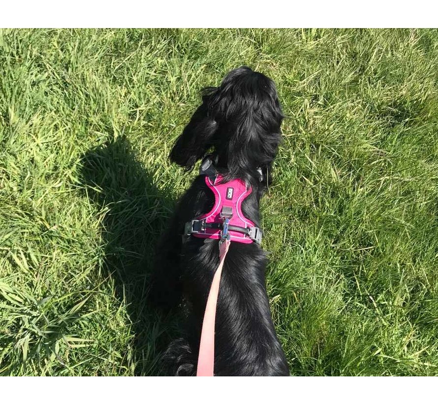 Dog harness Comfort Walk Pro Wild Rose