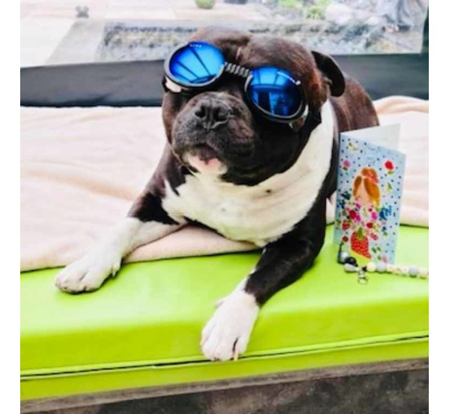 Dog Sunglasses Black