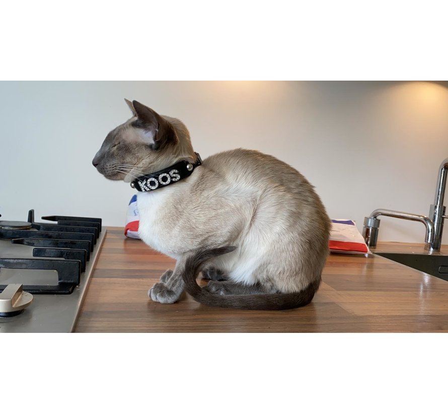 Hondenhalsband Met Naam Zwart (Medium)